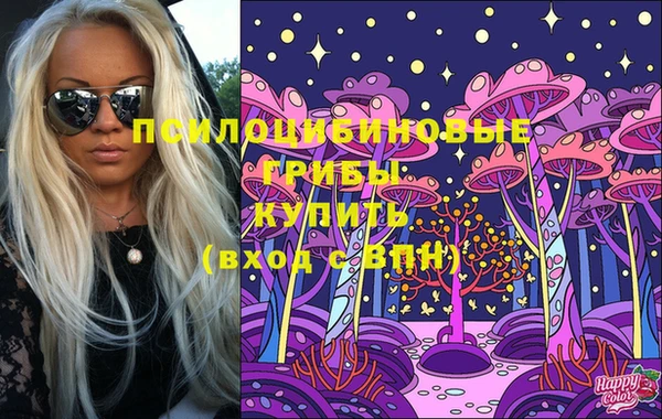 хмурый Богородицк
