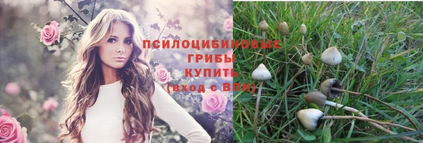 хмурый Богородицк