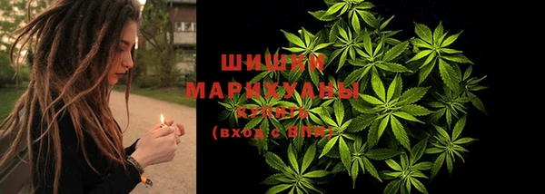 Альфа ПВП Богородск